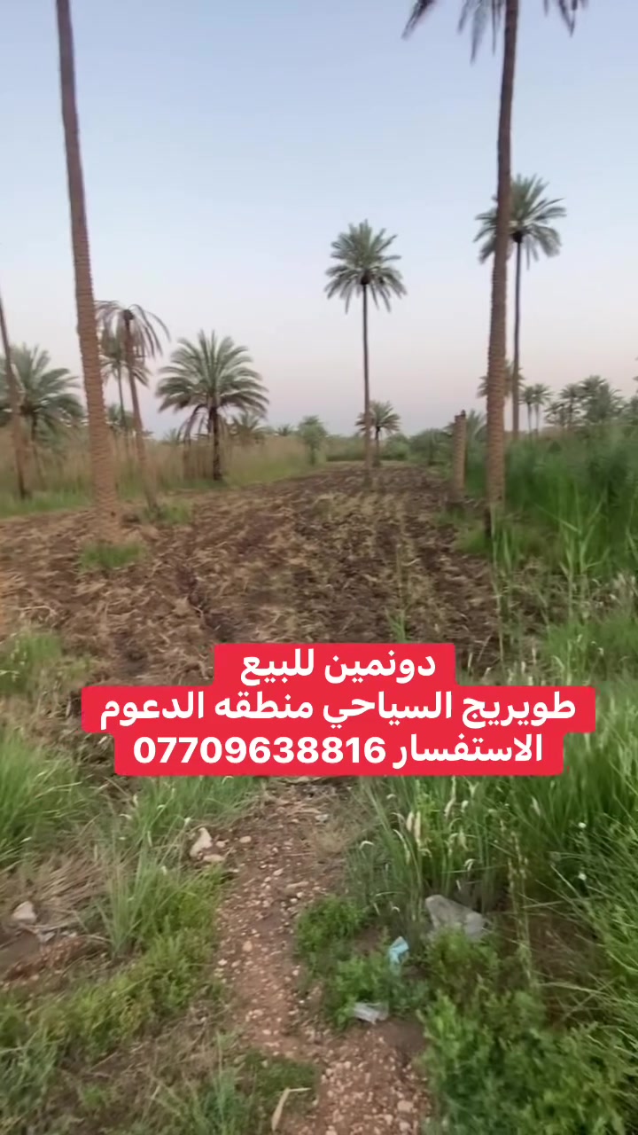 دونمين للبيع
الموقع طويريج السياحي منطقه الدعوم 

سند 25تحويل اسهم 

واجهه الدونمين 32

كهرباء ومي اساله مي سقي 

السعر 155بيه مجال 

الاستفسار 

***********
