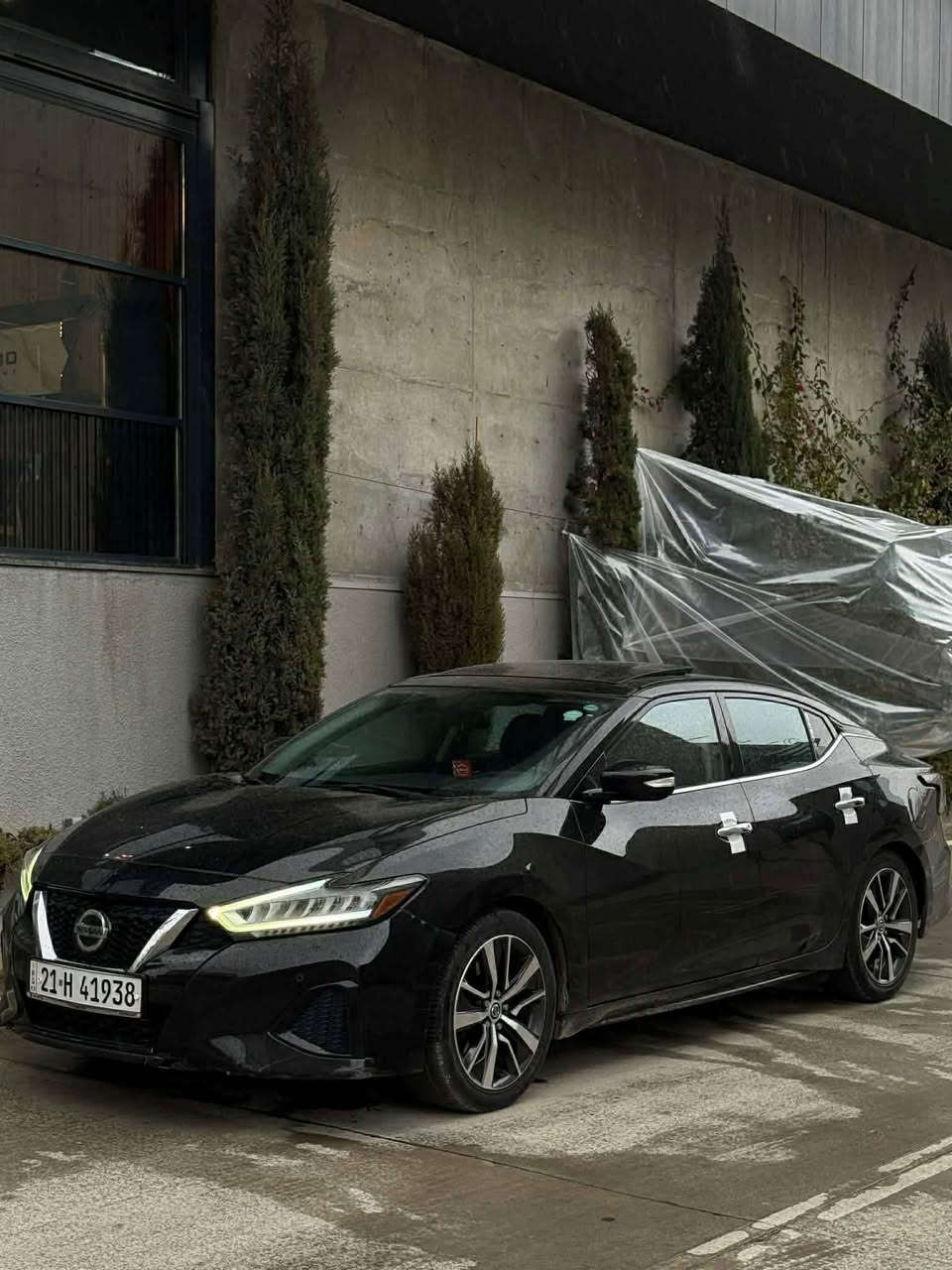 Nissan maxima 
2019 Sl
کلین تایتڵ بێ بۆیاخ 
یەك دوو پەڵە PDR هەیە
پانۆڕاما
کوشن جلد و هیتەر 
سوکان هیتەر
سوکان کارەبا
شاشە گەورە 
21 موکەبەری Bose
ئاوێنە ڕادار
ڕادار
سەنەوی و هەزەی تازەیە
تازە پێشی داگیراوە
هایدرۆلیك و رۆنی تازە گۆڕاوە
بە تەقەو ڕەقە 

بۆ زانیاری زیاتر پەیوەندی بکە 
***********
سلێمانی السليمانية, العراق
