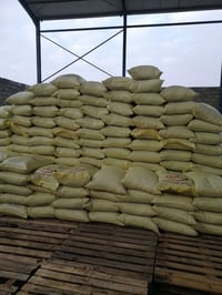 علف كربلاء • علف ممتاز • تسمين عجول