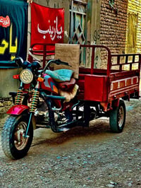 ستوتة • دايوان • ٢٠١٩