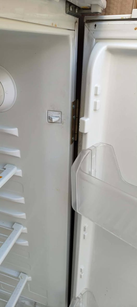 للبيع ثلاجه 18 قدم  تشتغل فول  نضيفه السعر 150 بي مجال التفاصيل خاص


**إذا كنت صاحب هذا الإعلان وتريد حذفه لأي سبب، رجاءا أرسل رسالة إلى الدعم الفني**