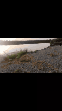 الفلوجه النعيميه • ٢٠٠٠م • واجهة٣٠م