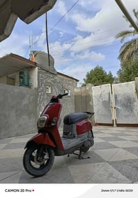 بوليسس • كفالة عامة • استمارة ٦ أشهر