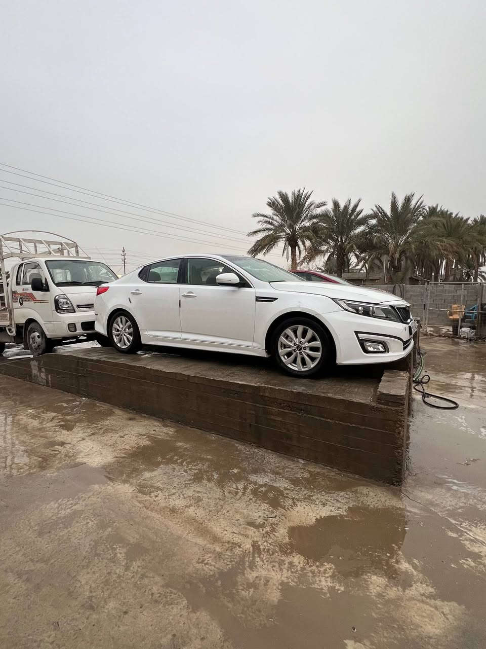 السلام عليكم
اوبتيما 2015 امريكي للبيع 

السيارة فول مواصفات 

4 حساسات خلفية 

تبريد قطعتين

 كشنات جلد تدفئه تبريد وكهربائيات الجهتين + كشن خزن ميموري  

تحكم ستيرن مري كهرباء  

شاشه لمس وكاميرا 

بانوراما بصمة  تشغيل وبصمة ابواب 

5 ويل كب 

نظام صوت من شركة انفنتي 

جاهزة من كلشي حداديه وكهربائيات ودواخل ومابيها كل نقص 

مكينة تبريد كله كفاله وعلى وضع الشركة حادثها بنيد  وبيه رش جاملغ الخلفي شي قليل بدون دوااخل 

السيارة كلش حلوه واحلا من الصور 

رقم بابل ب اسمي سنوية ل2030

عارضها ب120 وبيه مجال  

مكاني بابل مركز المدينة 

وهذا رقمي ***********
