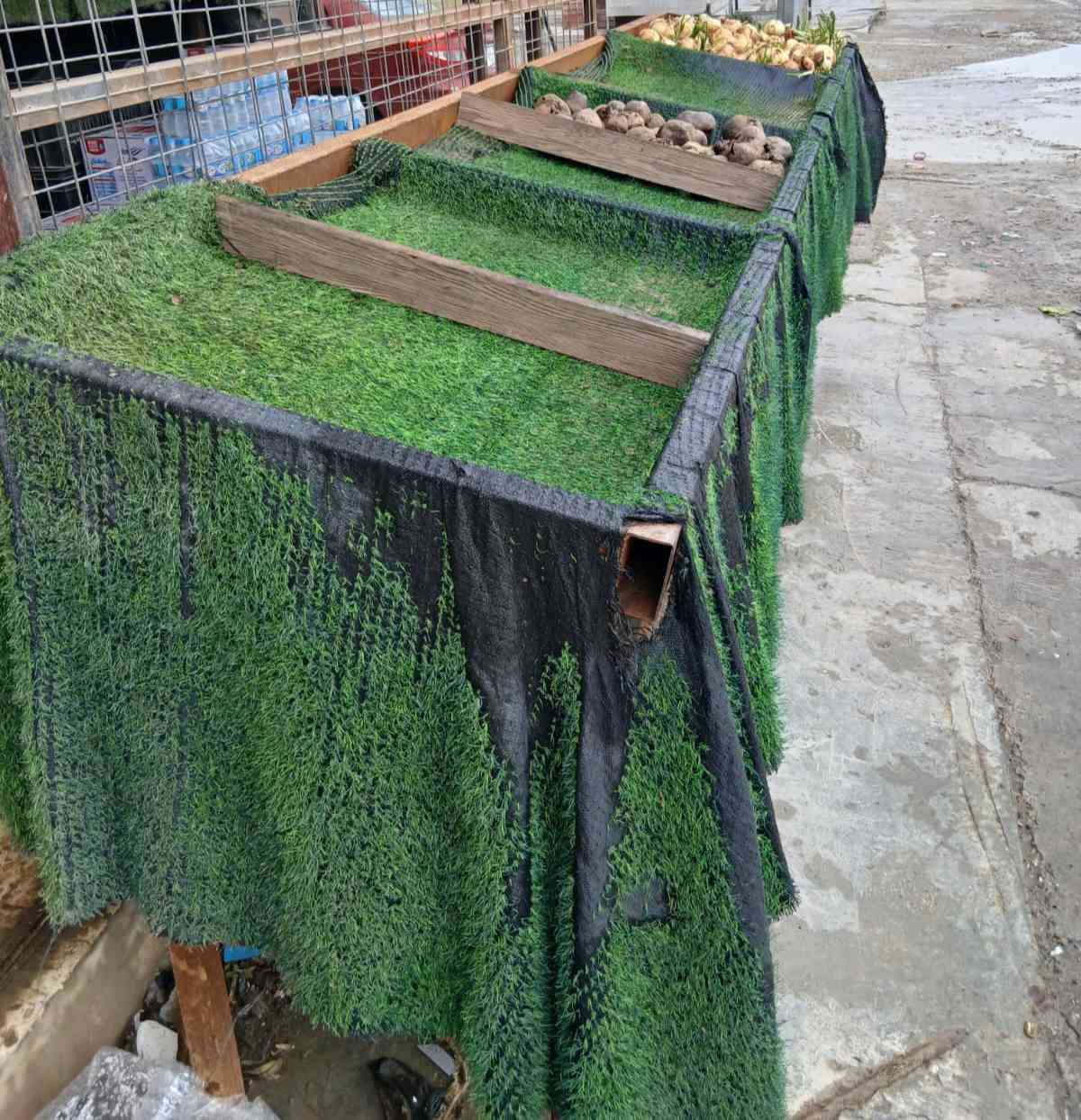 السلام عليكم بصطيات للبيع عدد2 وسيم امريكي ارتفاع 3امتار وعرضه 5 سعرهن 400وبيهن مجال رقم صاحبهن
***********
