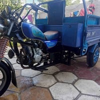 موديل 21 • مكفولة ركبة • بابل