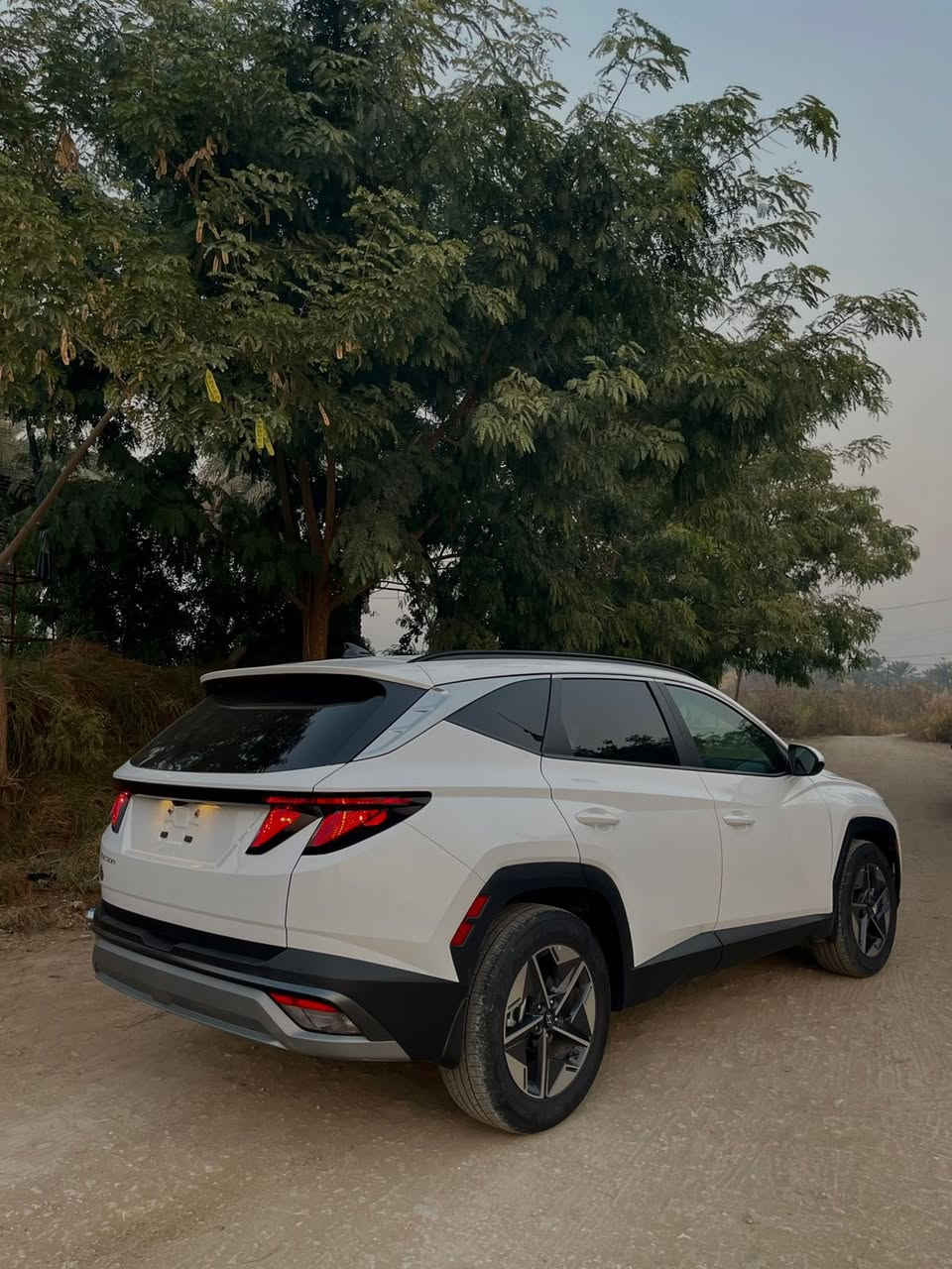 توسان وارد امريكي  2025 SEL
2025 ماشيه 3 الف 
حجم المحرك 2500  
بصمه + بصمه ابواب لمس
شحن لاسلكي 
كيج الكتروني متغير 
شاشة متصله 
رادارات امامي + جانبي +خلفي 
قيادة الية 
هندبريك بصمه
مكاني بابل 
للاستفسار / ***********
