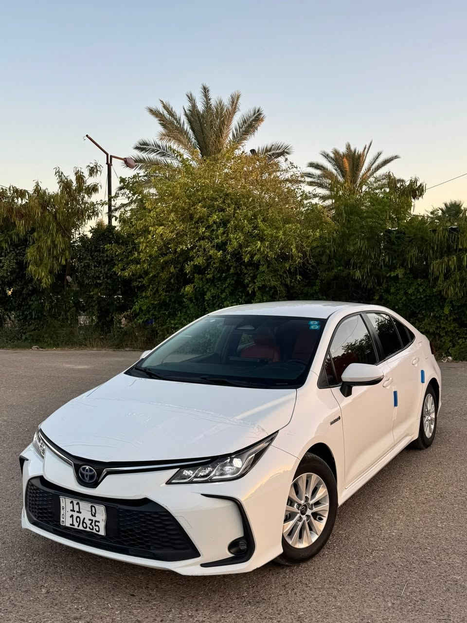 السلام عليكم
كورلا هايبرد
2024
بدون فتحه
ماشيه 39 
بدون صبغ سونار مرفق ويه الصور
سنويه وهزه جدد باسمي تحويل ثاني يوم
السعر 140
***********
📍صلاح الدين/بلد/الضلوعيه
