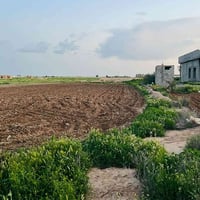 عويجيله • ٣٠٠م • طابو