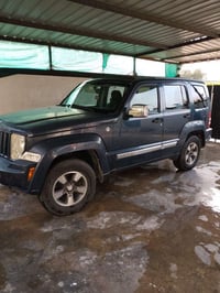 جيب ليبرتي • ٢٠٠٨ • بدون صبغ