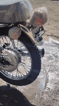 ٢٠٢٢ • اوراق اصولي • قلعة سكر