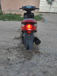 ثعلب • نضيفة • سلف وهندر