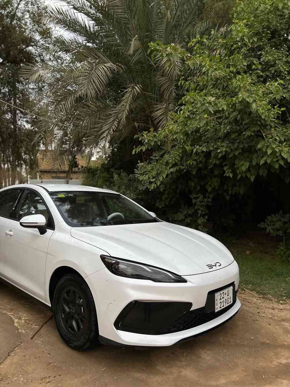 السلام عليكمم اجاكم الي دمر الياباني والكوري وخلاهم يطبكون علصفحة 

البي واي دي السيل فايف 2025 مواصفات الستندر 

🧿بصمة وكرت
🧿تحكم بلانارة 
🧿شاشة مبرمجه ومنزلة برامج كافه
🧿السيارة ماشية 16 علمحرك والكهرباء 11
🧿كفالة من الصبح والحادث والضربة بيها بارد منشور بلصور فقط
🧿شاحنة النسخه الشحن السريع ام الكرت تشتغل علكرت ب ٤٠ دقيقة تفول شحن 3فيز 
🧿مكانها كربلاء 
♈السعر ١٩٣٠٠
***********
الشراي يتصل ويدلل 
مدمر الكورلة بانتضاركم
