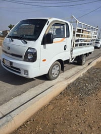 حمل • ٢٠١٩ • تحويل مباشر