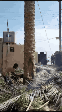 تقطيع النخيل والخشب
للاستفسار الاتصال على الارقام التاليه
***********
***********
