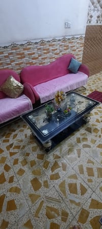 تخم • أصلي أوروبي • ميسان