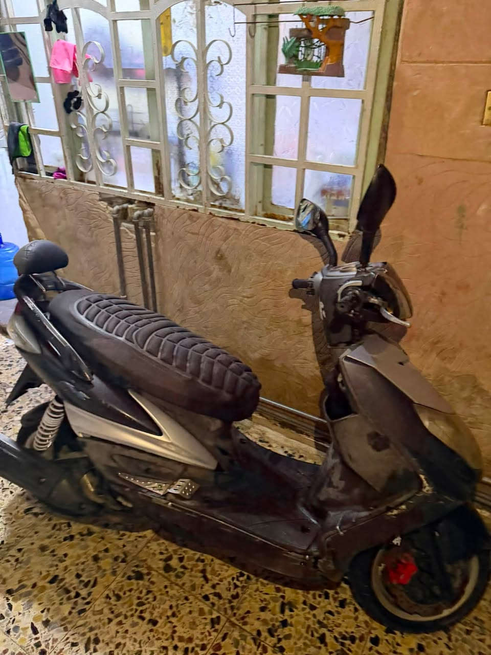 سكنس فحل نوزل مكفوله بي ملاحضه بسيطه من تدوس سكليتر للاخير تكطع السعر 550 الف وبيها مجال مكاني بغداد زعفرانيه 
***********

