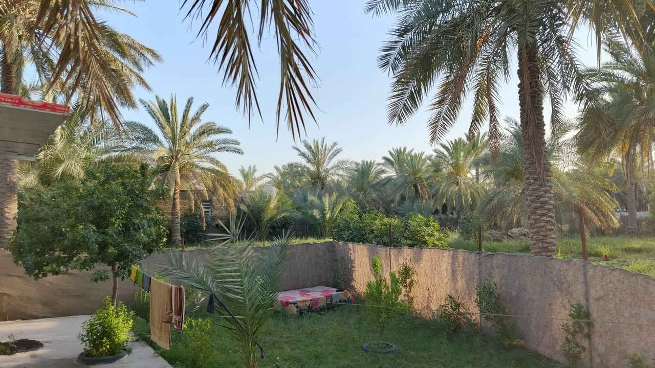 🔥 فرصة ذهبية للمستثمرين وأصحاب المشاريع 🔥

مزرعة + بيتين شبه كاملات للبيع
📍بابل السياحي – قرب الامام الحسن (ع) الياسية
فرع التبليط المقابل مجمع الأنباري  مباشرة

📐 المساحة: ٢ دونم
🛣️ شارع تبليط وتبعد عن الشارع العام ١٥٠ متر فقط
🌴 مزروعة نخيل وتين وحمضيات وأشجار متنوعة
🏡 بيتيـن شبه كاملات
✅ سند تحويل مباشر

✨ تصلح كمزرعة واستراحة عائلية
✨ وتصلح أيضاً للتقسيم إلى قطع سكنية واستثمار مضمون

الي يريدها مزرعة فهي جاهزة 🌴
والي يريد يقسمها قطع فموقعها ممتاز جداً للاستثمار 💰

📞 للاستفسار والتواصل: ***********
🏡 مكتب سيد حسن عرفان 🏡
