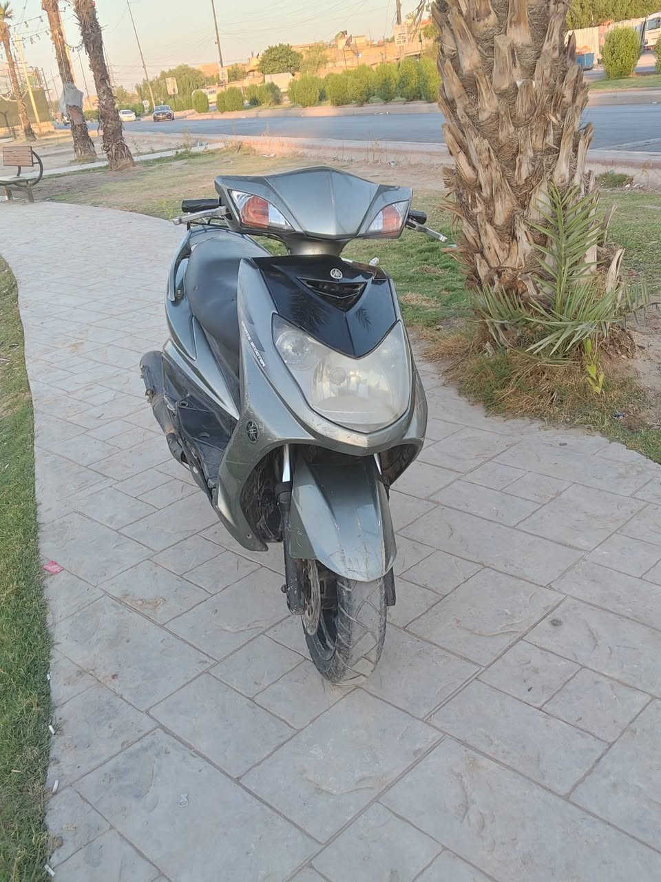 السلام عليكم سكنس فحل نوزل طلاعات للبيع او مراوس 
يرادلها ترتيبات بسيطه نكره سلف بكل وقت مكاني بغداد حي اور 
*********** واتساب او مازنجر فقط
