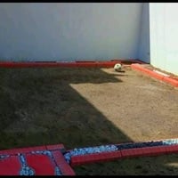 فلاح حدائق • قص الأشجار • الشيخ حمد