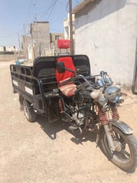 ستوته • نضيفه • خمسه كيلو