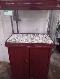 حوض سمك • للبيع • عالخاص