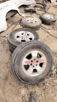 للبيع جملة ***********
