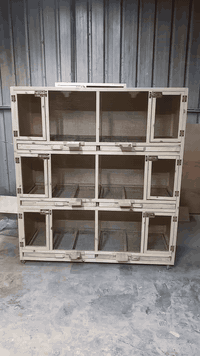 شغل حسب الطلب حظانه كتاكيت سعرالواحد  ب٢٥ الف 07705140130