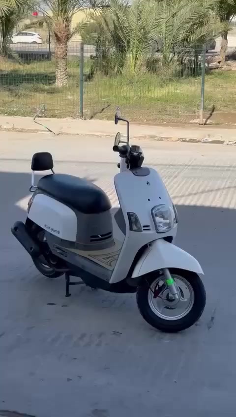 بوليس للبيع ما صالهة هواي من نازله من رنبه كفررر بلادي ختم واحد مكان نجف سعر خاص


**إذا كنت صاحب هذا الإعلان وتريد حذفه لأي سبب، رجاءا أرسل رسالة إلى الدعم الفني**