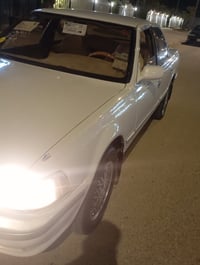 كرسته مسطره • ١٩٩١ • مكفوله