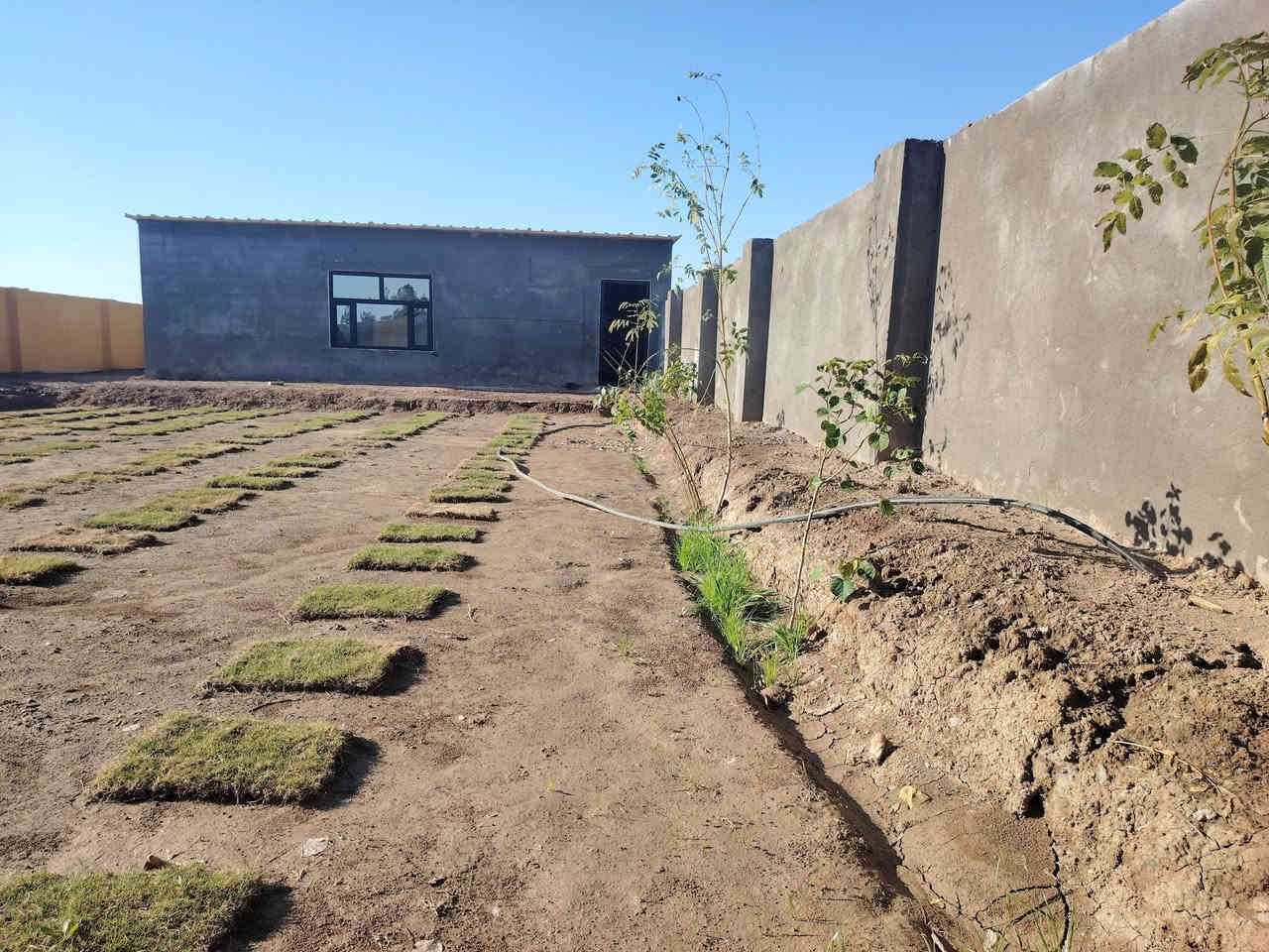 مزرعه للبيع مساحه ٤٠٠ متر ع طريق دغاره ديوانية خلف مطعم واثق بلمازارع.  وجها ١٥ ونزال ٢٧ شارع سبيس ماي كهرباء كامله تبعد عن شارع ١٥٠ متر ***********
