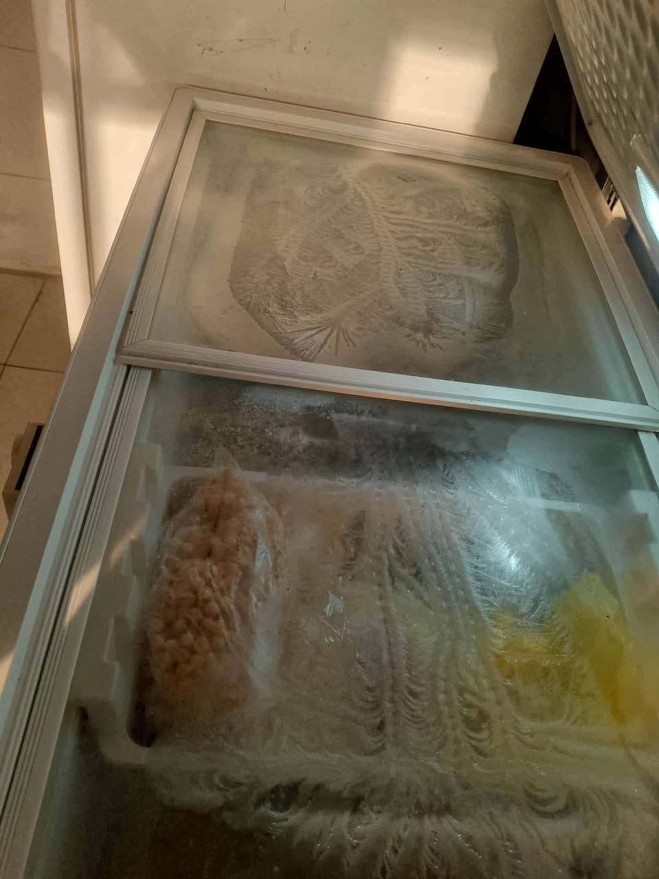 مجمده نوعيه نوبيل الاصليه واضح التجميد بالصور تجميدها فول وشغاله اي خلل مابيها اريدها ب250 الف المكان بغداد الامين منطقة سكينه على القناه يم بنزين خانه الجبهه يوجد توصيل بكروة


**إذا كنت صاحب هذا الإعلان وتريد حذفه لأي سبب، رجاءا أرسل رسالة إلى الدعم الفني**