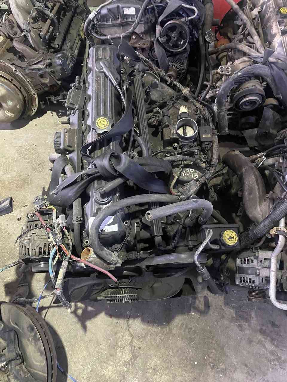 ***********.   ***********.
***********.    السليمانية
