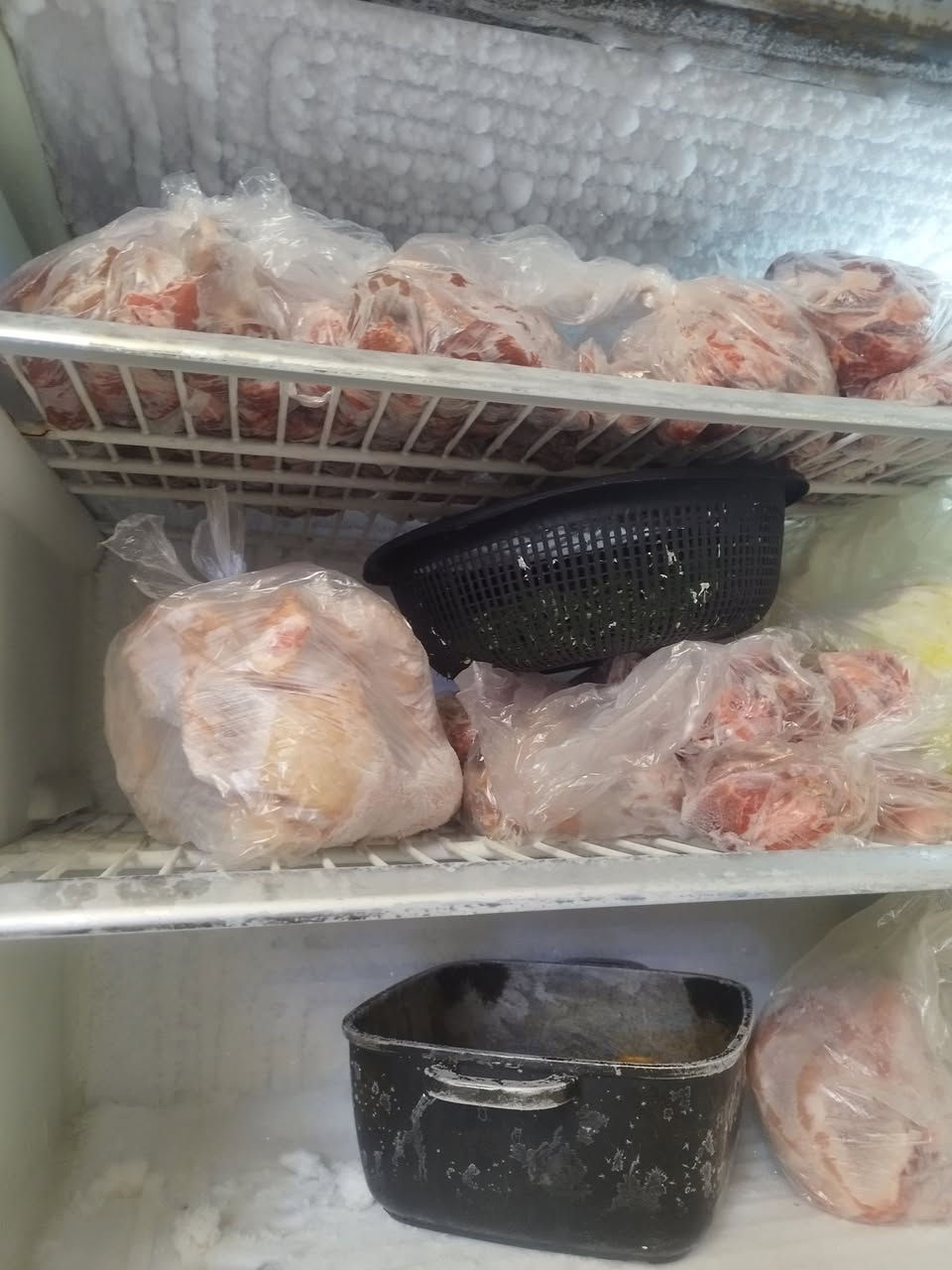 للبيع ثلاجه بلازمه سعرها 500


**إذا كنت صاحب هذا الإعلان وتريد حذفه لأي سبب، رجاءا أرسل رسالة إلى الدعم الفني**