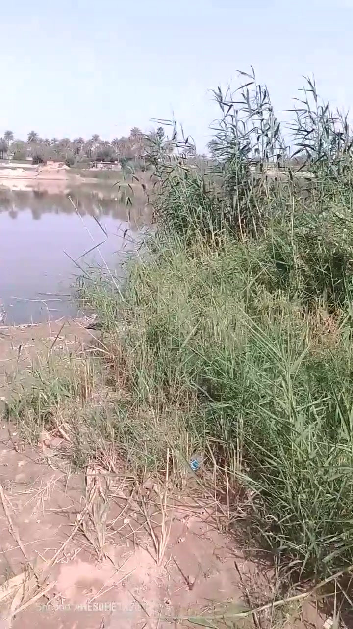 السلام علیکم ارض زراعيه 16دونم مع شاطيه اربع دونم سند 25الشاطيه عقد بيه بيوت واحد جديد موضح بالصوره بنا۶ طابوک درجه ولی کامل مع بيت بالشاطيه هيکل وبيت الجبير قديم وبيت ثالث سندويچ السعر خاص


**إذا كنت صاحب هذا الإعلان وتريد حذفه لأي سبب، رجاءا أرسل رسالة إلى الدعم الفني**