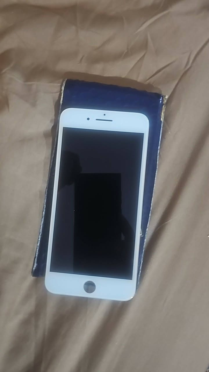 ابيع شلع مفرد ماابيع بيهه الي يريده يدخل خاص


**إذا كنت صاحب هذا الإعلان وتريد حذفه لأي سبب، رجاءا أرسل رسالة إلى الدعم الفني**