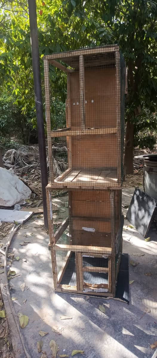 للبيع


**إذا كنت صاحب هذا الإعلان وتريد حذفه لأي سبب، رجاءا أرسل رسالة إلى الدعم الفني**