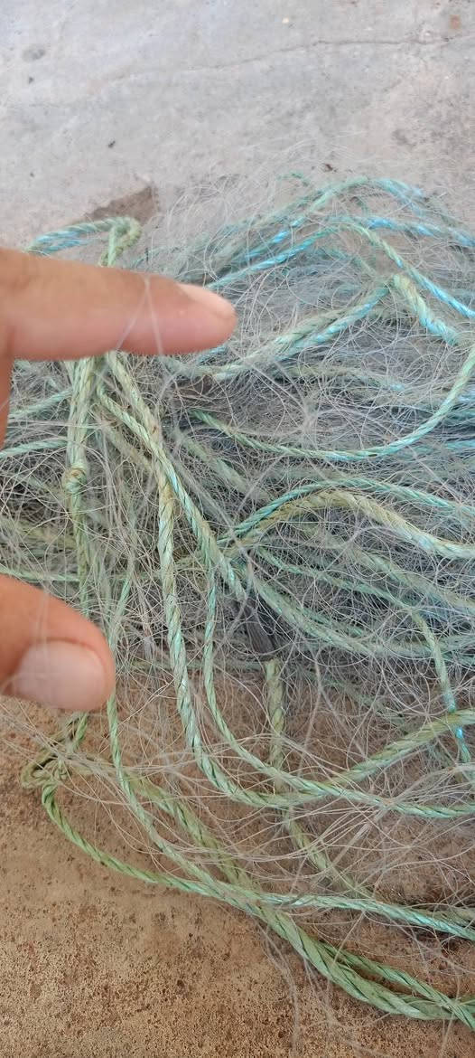 متاح تليثي مال طرح خيط مبروم بس السماجه يعرفون شنو المبروم هم نصبتها نصبه وحده تطلع ٣٠ متر قفلها با٢٠ وين عشاق الطرح والمبروم 🤦‍♂️🙄


**إذا كنت صاحب هذا الإعلان وتريد حذفه لأي سبب، رجاءا أرسل رسالة إلى الدعم الفني**