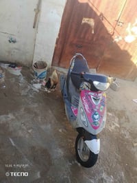 دراجة ماكس • مستعجل • كرمه علي الشراي