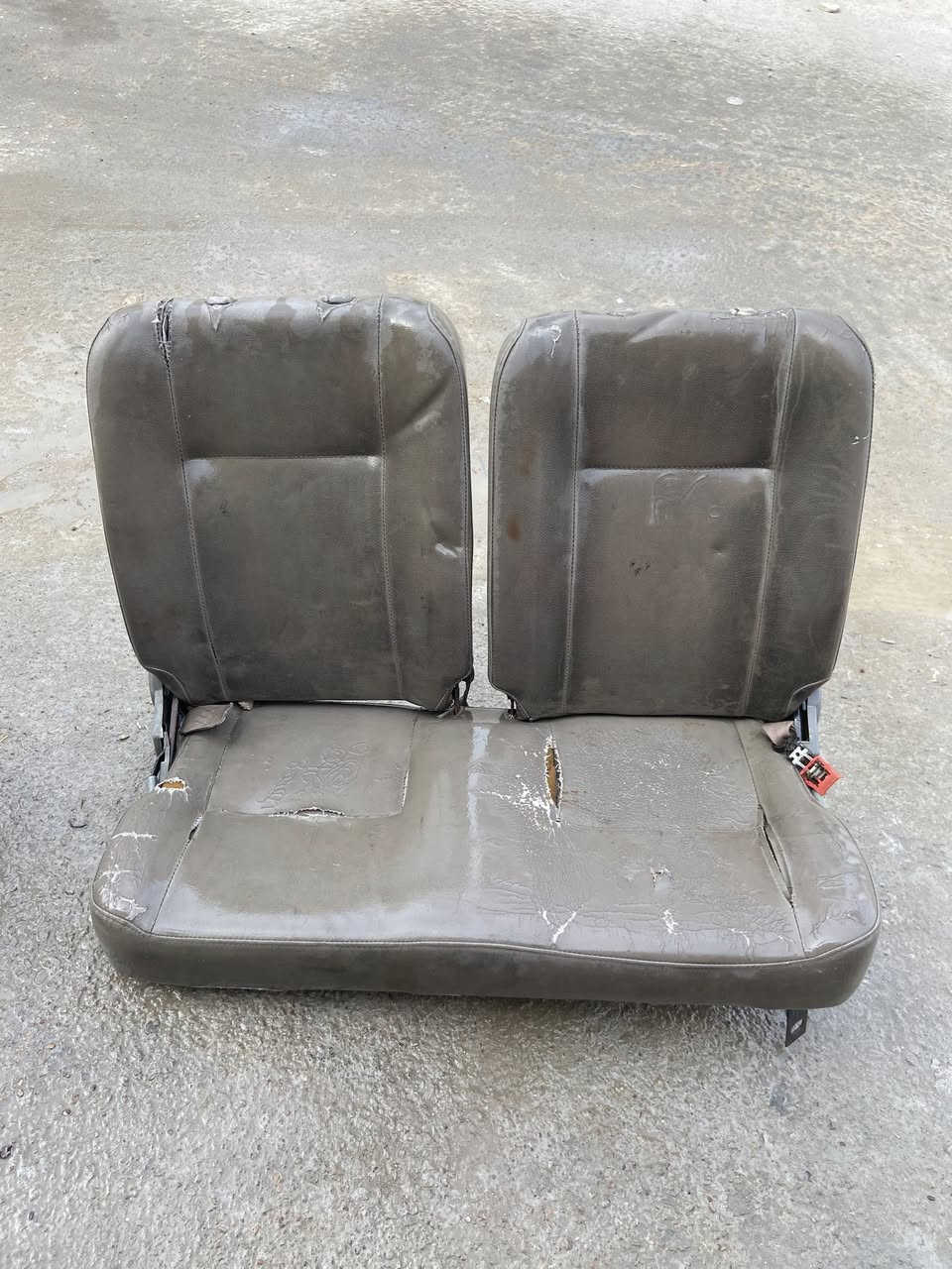 كشنات فتون للبيع بدون قواعد سعر 200 بيهن مجال مكاني بغداد الامين ثانيه ***********
