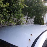 النترا • ٢٠٠٦ • هاتشباك امريكي