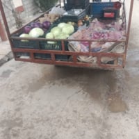 ورحمه الله وبركاته ستوتامال مخضر ستوتا مال رزاق محراك نضيف حيل شراط اخ...