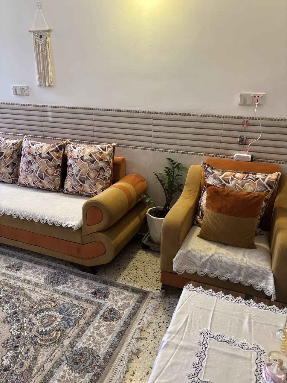سلام عليكم تخم عراقي عشر مقاعد للبيع السعر ٣٠٠ للتواصل***********
