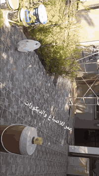 يعلن مكتب ،،،، بيت الأحلام 

للاصباغ و الديكورات 
مقاولات العامه 
صبغ داخل و خارج معه ماده طلس عام

اسعار مناسبة جدن 
للستفسار ***********☎️📞

***********☎️📞
الموقع: بغداد حي جامعه ؟
الجمعيه
