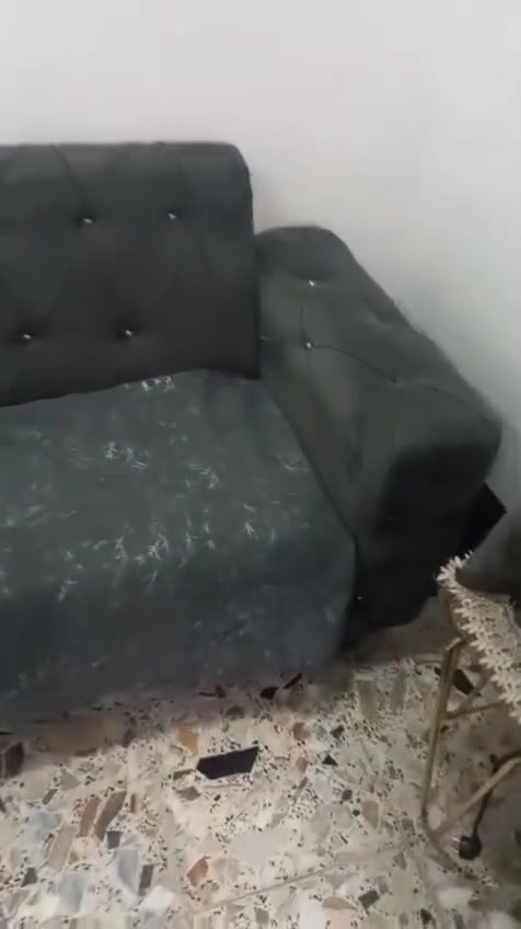 السلام عليكم تخم ديوان للبيع 10 مقاعد 7 أمتار فصلته ب450 ورايده 300 بس خلل بسيط التجوه الأخيره شوي بیه اهتزاز وضربه براغي بس قوي موقعي بغداد حي البتول ***********
