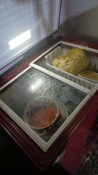 مجمده • نضيفه • شغاله
