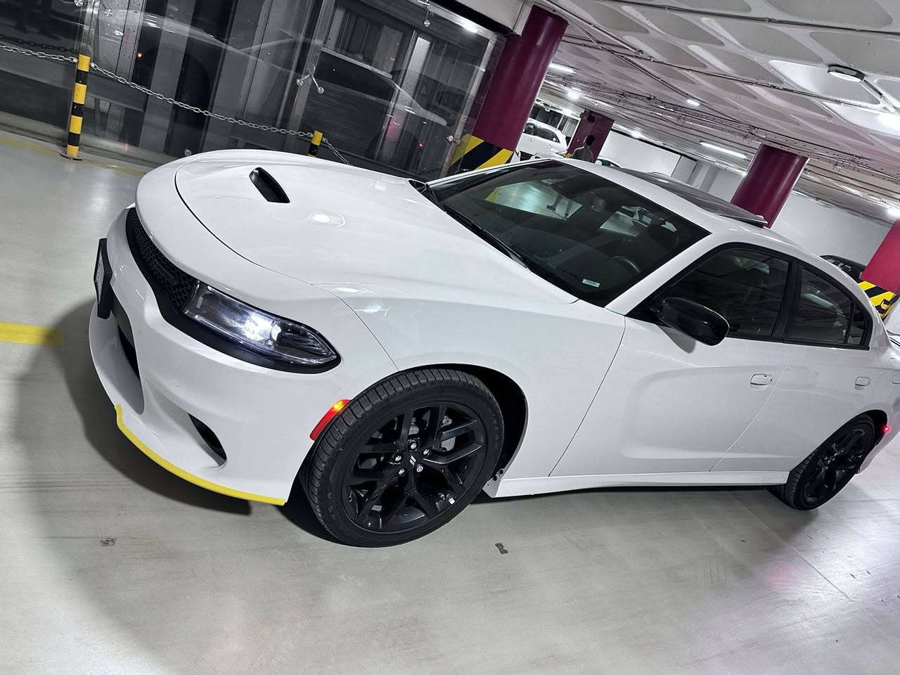 DODGE CHARGER GT  2023

للبيـع: دوج جارجر  GT بلاس 2023 

وارد امريكي

✨الضرر : بابين تبديل

✨قراءة العداد : 41 الف ميل 

✨رقم نينوى مميز💯مع كوبون بانزين 

مواصفات : 

المحرك v6*3600

رادار امامي*

رادار جانبي *

* ويل قياس 20 

* ستيرن رياضي .

* نقطة عمياء .

* مصابيح أمامية زنون .

* كشافات الضباب زنون .

* المصابيح الأمامية مع LED .

* حساسات .

* شاشه كبيرة مع نظام ملاحة نفكيشن GPS.

* الشاشة مع اويشنات .

* سستم صوت الپاين .

* فتحت سقف (سلايد) 

• مقاعد جلد كنتاره

* مقاعد أمامية كهربائية عدد 2 .

* ذاكرة لحفظ وضعيات الجلوس (ميموري) .

* مقاعد أمامية تبريد وتدفئة .

* تشغيل عن بعد .

* ستيرن كهربائي .

* تدفئة ستيرن .

* محدد سرعة .

تلفون بلوتوث .

* كاميرا خلفية .

* مرايا متحسسة للاضاءة العالية .

* السعر اتصال***********
*********** واتساب
