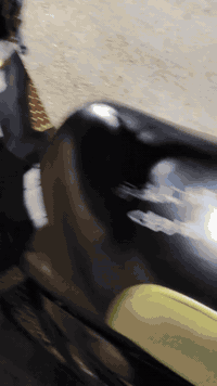 ماكس عدله بوشه 49 مكينه نضيفه نكره صامته كدامكم بالفيديو
شباب التزويد كدامكم ، و دشبول كامل موجود عدأ العداد 

تجي تفحصه اذا مو نفس الحجي الحاجي تاخذه بلاش ، وهاي الملاح كدامكم تشهد 

السعر ب 575 وبيه مجال بسيط
استفسار بس عل واتساب غيره ماجاوب ***********
