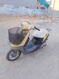 بوتين • معمر • يحتاج باتري