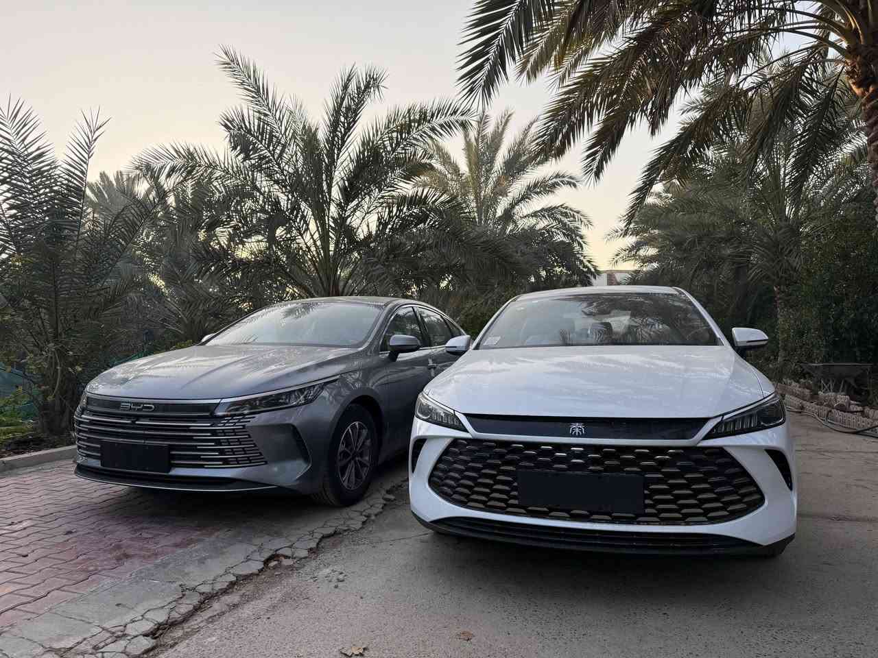 BYD عدد 4
وديستروي + كن بلاس
موديل 2025
بلكن هايبرد 
صغر كيلوا متر زيرو 
وديستروي 2 - كن بلاس 2

البلاس لون أبيض عدد 2
السعر 19 مليون
وديستروي 20 مليون ونص 

💎محرك 1500 هجين تنفس طبيعي هايبرد + بانزين + شحن ذاتي + شحن خارجي 
💎بصمه تشغيل+تشغيل عن بعد   
💎السياره مرتبطة بذكاء الصطناعي حسب قيادتك تصرف بانزين 
💎كير ماوس 
💎فتح باب كارت انفسي 
💎تبريد قطعتين 
💎شاشه قلاب + كار بلي  
💎بكلايت ليد متصل اشاره خلفيه نشره لكزز 
💎لد+ اشاره ليد لايت + لايت زينون 
💎هاندر بريك بصمه + اوتو هولد 
تشغيل فقط لمس للبريك
💎حساس خلفي + كامره خلفيه 
💎حساس ظغط اطار 
💎لايت اوتو 
💎اشاير مري
اوتو باص 
💎
 
مكان السيارة بغداد الكريعات داخل بيت
***********
